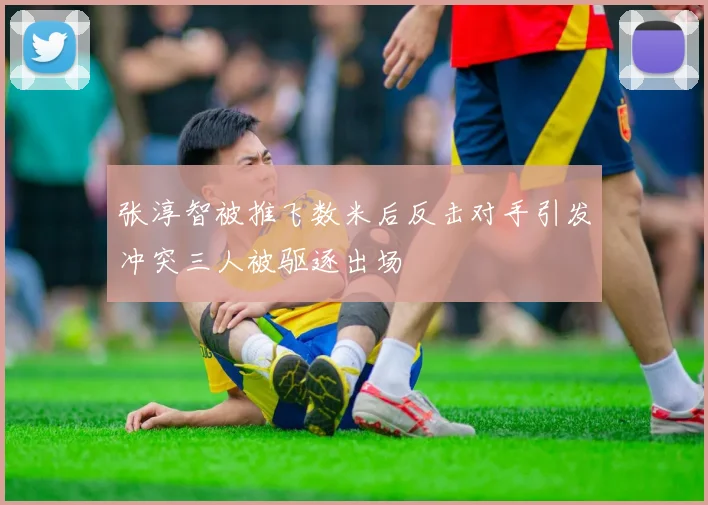 张淳智被推飞数米后反击对手引发冲突三人被驱逐出场