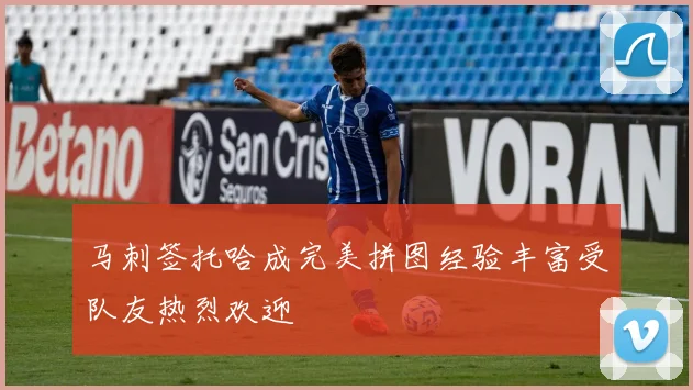 马刺签托哈成完美拼图经验丰富受队友热烈欢迎