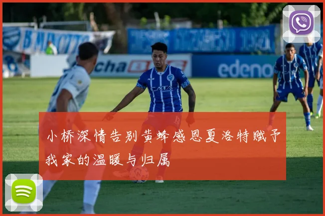 小桥深情告别黄蜂感恩夏洛特赋予我家的温暖与归属